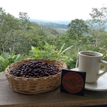 Hotel Green Mountain Turrialba Extérieur photo