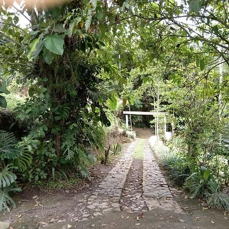 Hotel Green Mountain Turrialba Extérieur photo