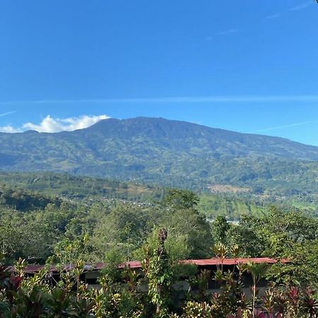 Hotel Green Mountain Turrialba Extérieur photo