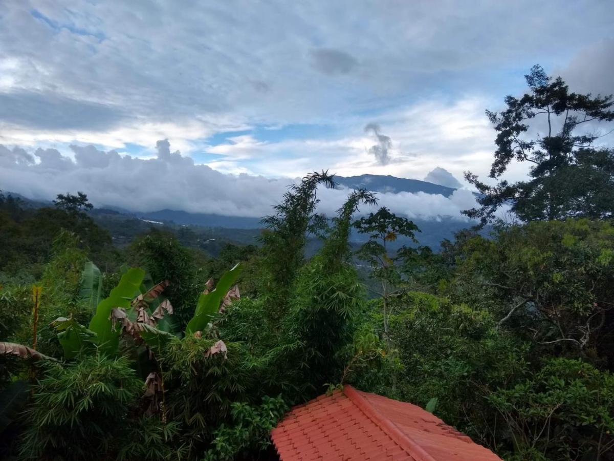 Hotel Green Mountain Turrialba Extérieur photo