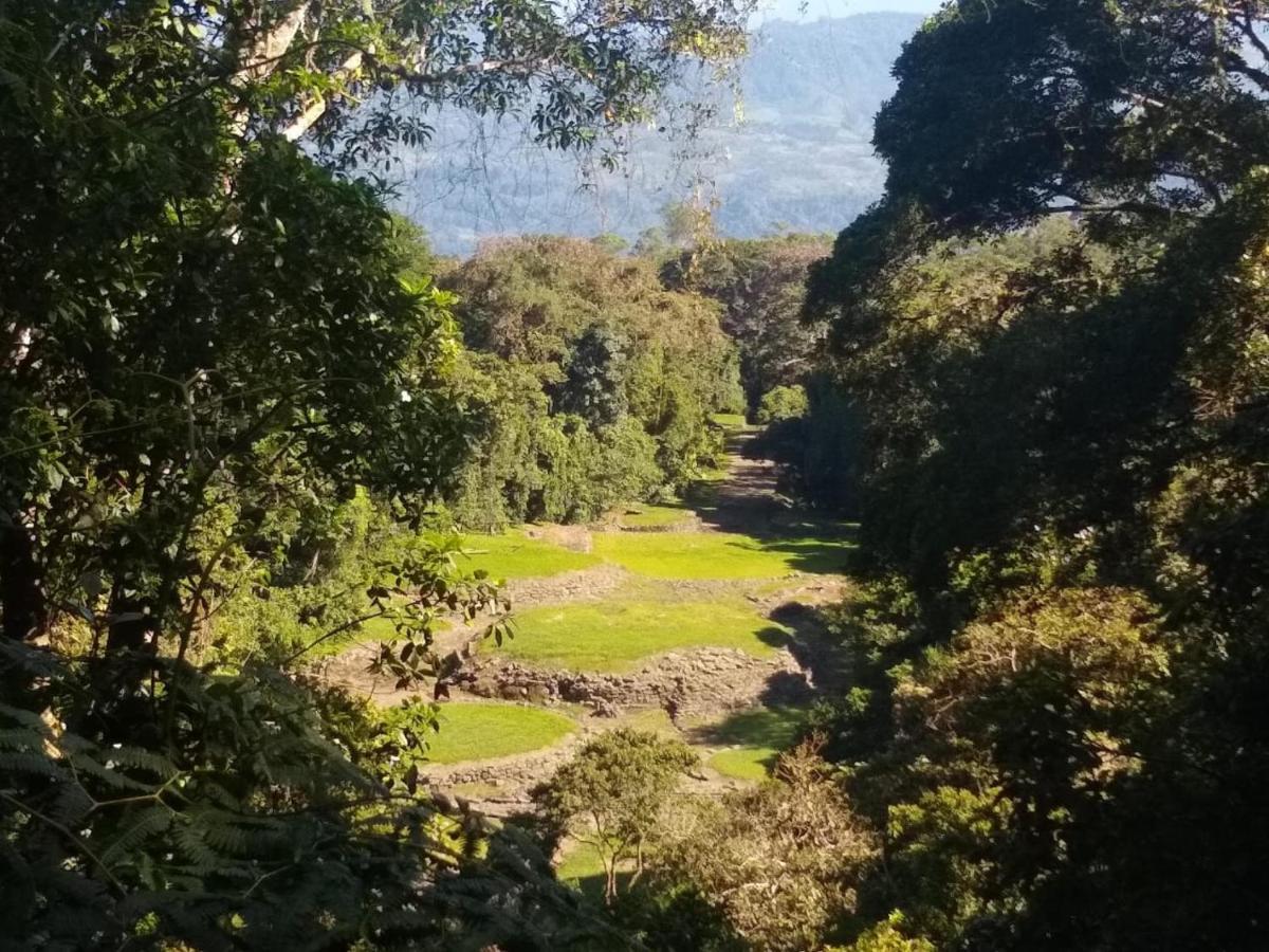 Hotel Green Mountain Turrialba Extérieur photo