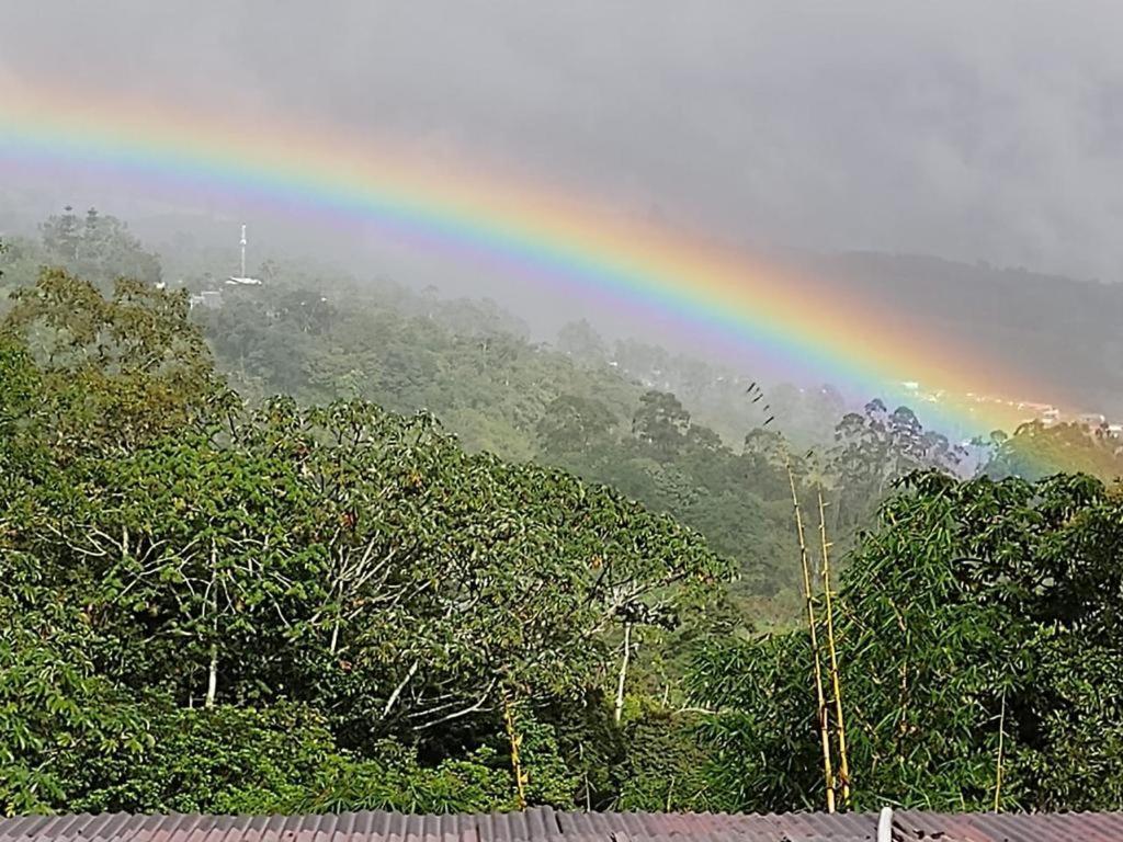 Hotel Green Mountain Turrialba Extérieur photo