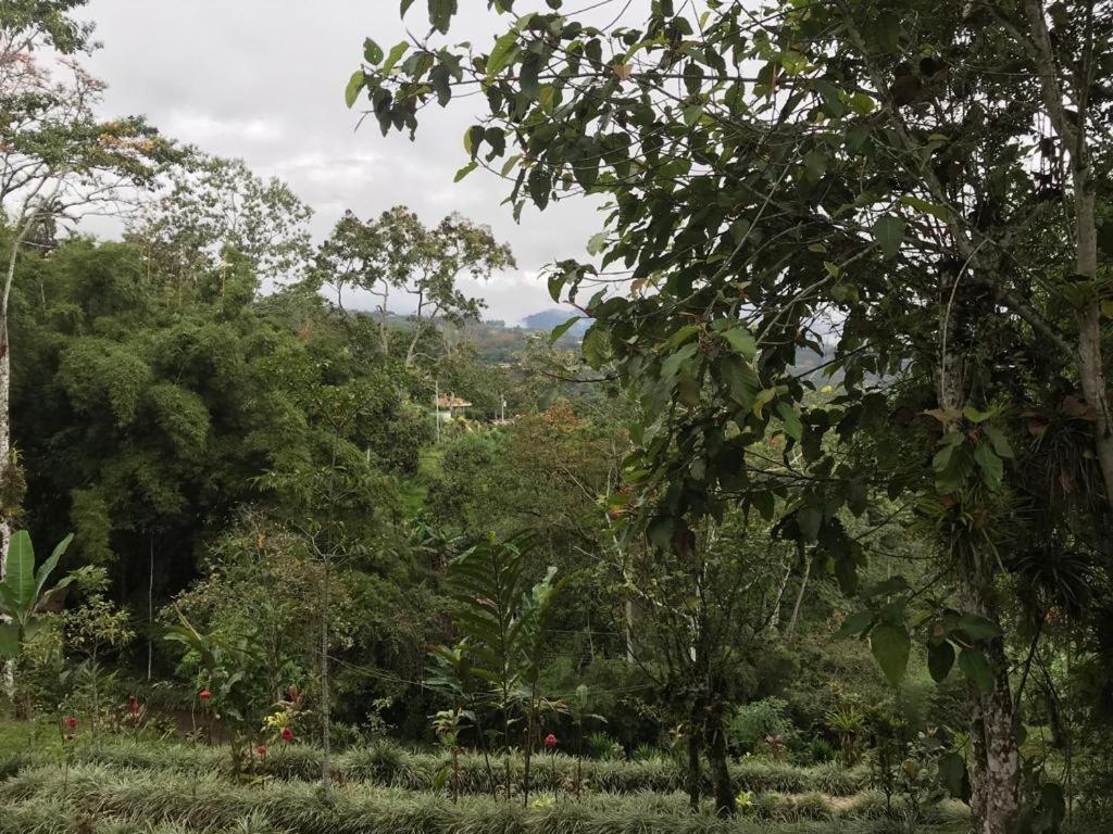 Hotel Green Mountain Turrialba Extérieur photo