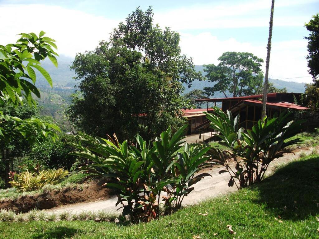 Hotel Green Mountain Turrialba Extérieur photo