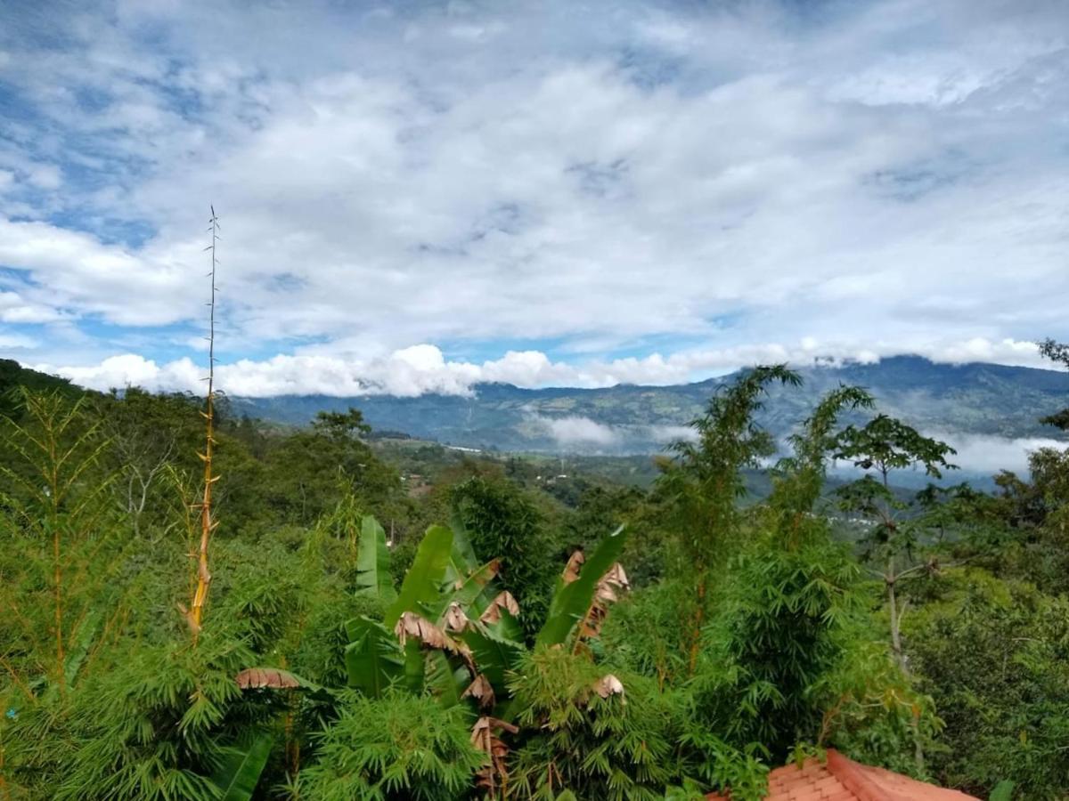 Hotel Green Mountain Turrialba Extérieur photo