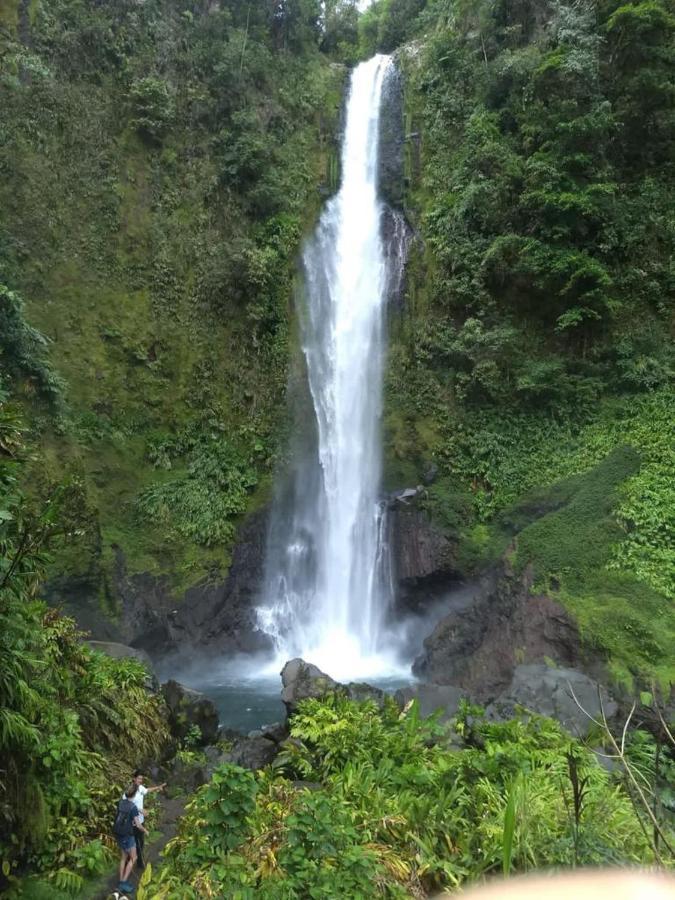 Hotel Green Mountain Turrialba Extérieur photo