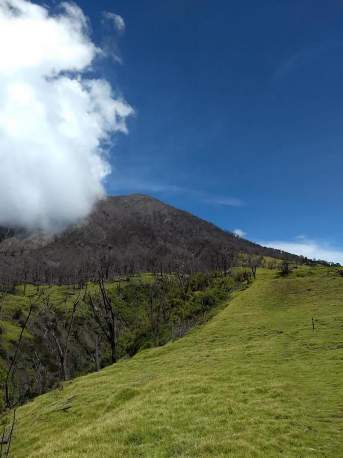 Hotel Green Mountain Turrialba Extérieur photo