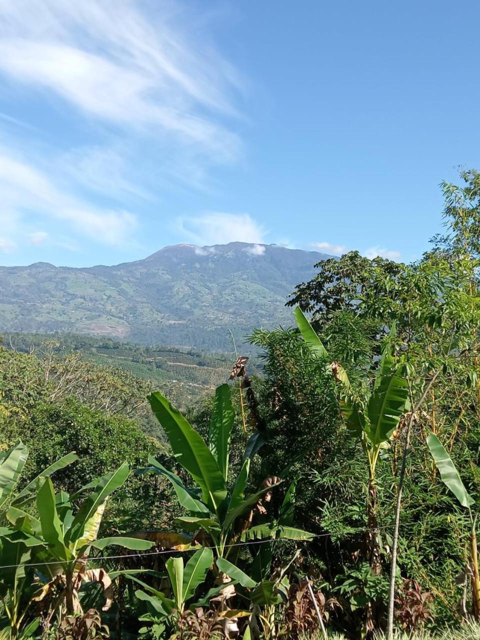 Hotel Green Mountain Turrialba Extérieur photo