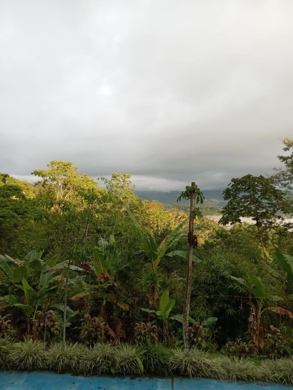 Hotel Green Mountain Turrialba Extérieur photo