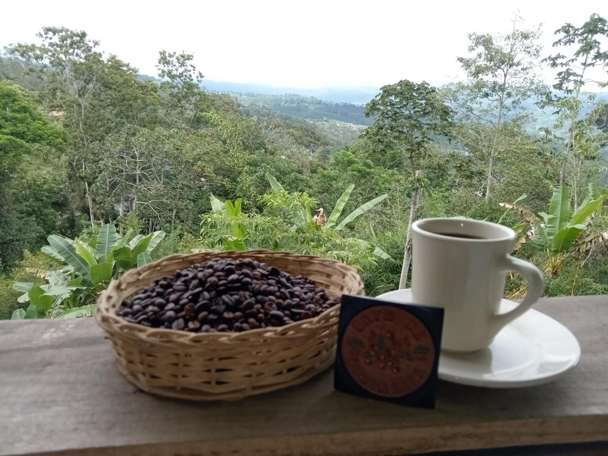 Hotel Green Mountain Turrialba Extérieur photo