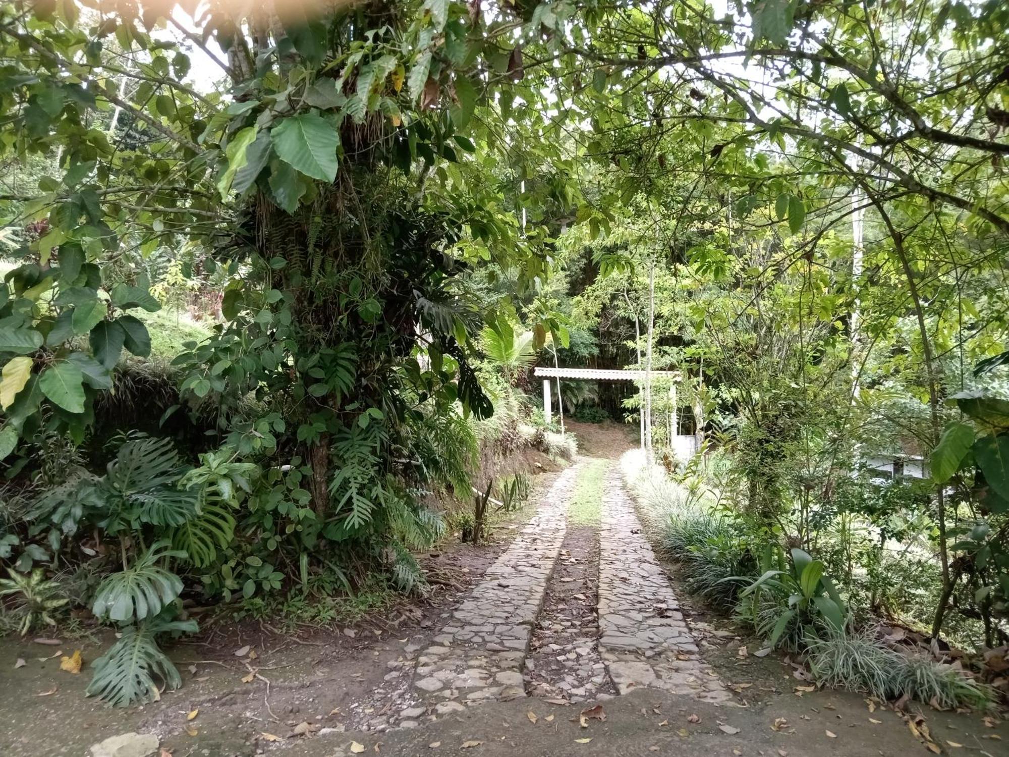 Hotel Green Mountain Turrialba Extérieur photo