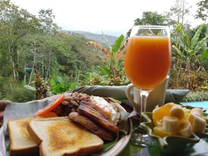 Hotel Green Mountain Turrialba Extérieur photo