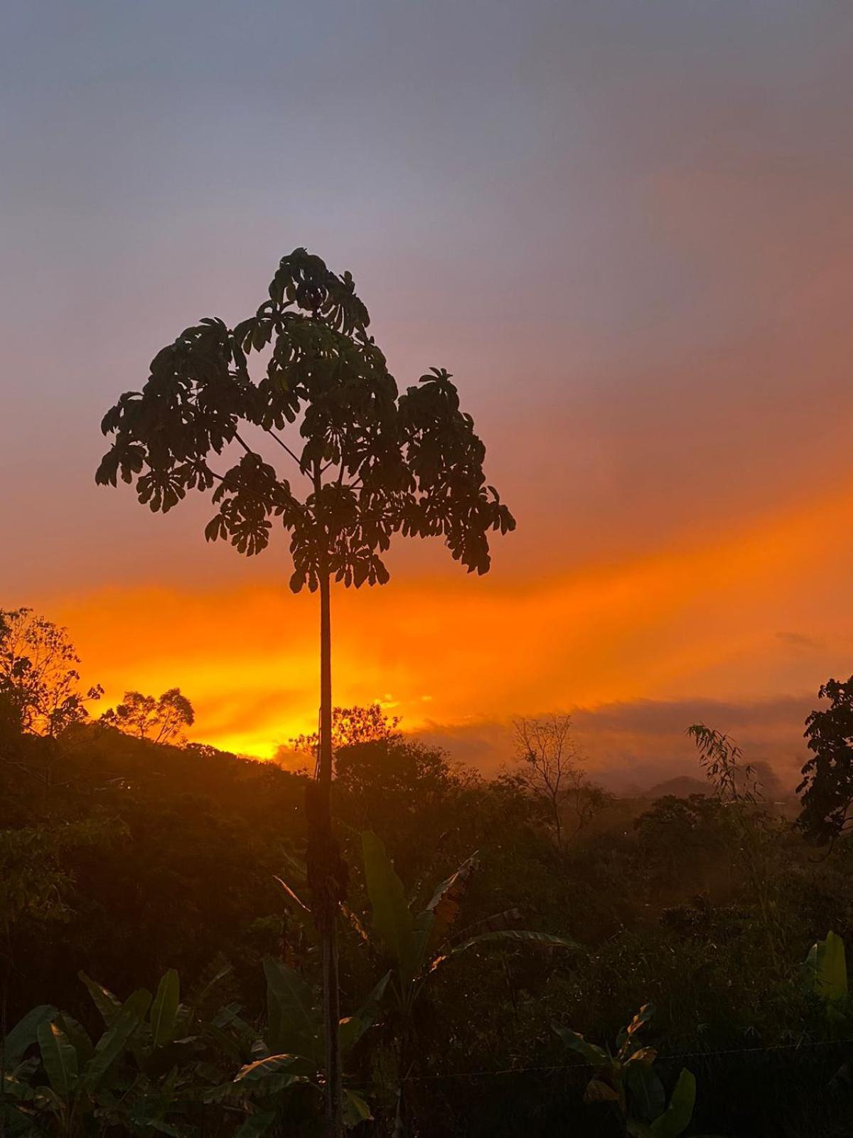 Hotel Green Mountain Turrialba Extérieur photo