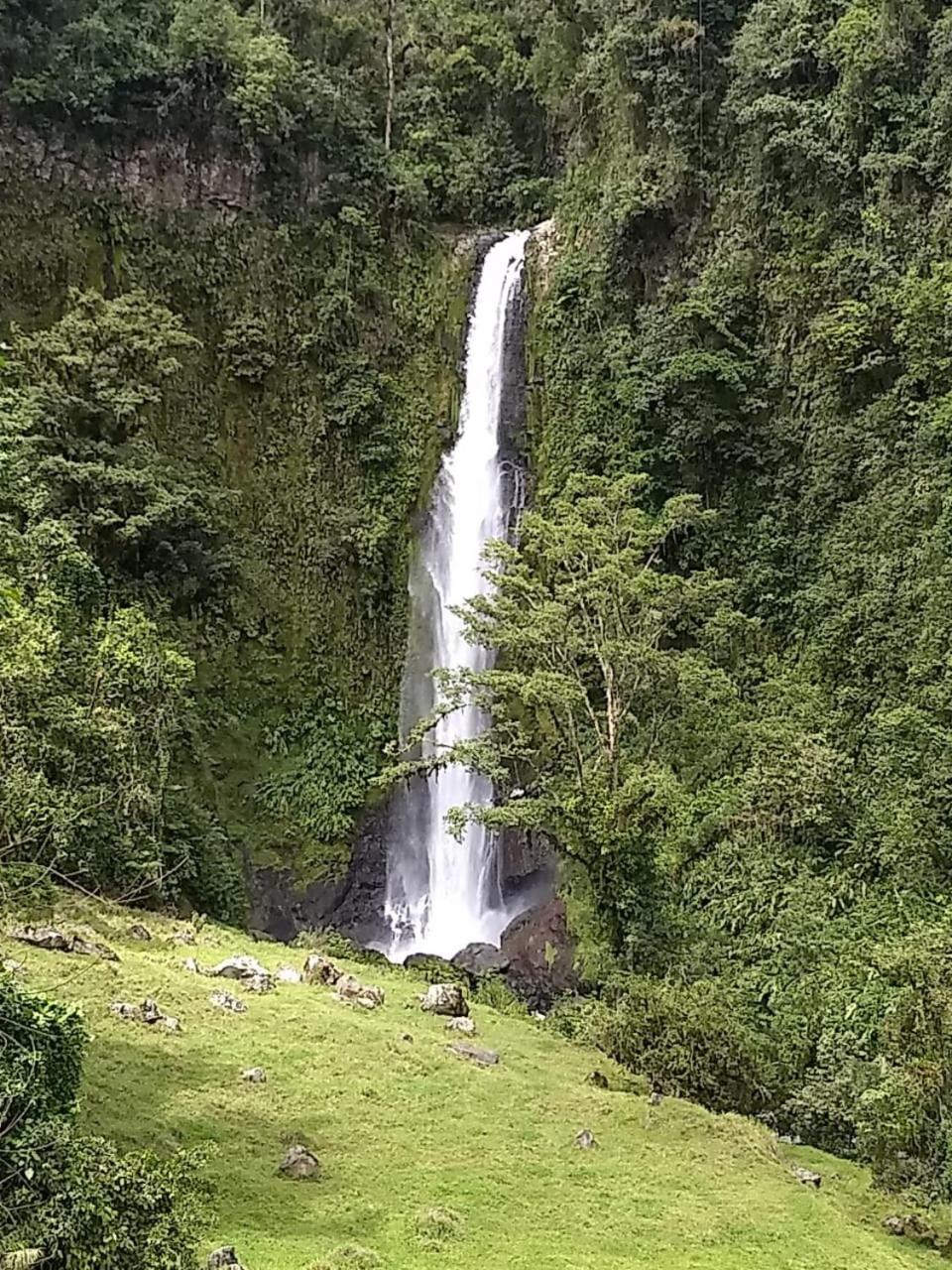 Hotel Green Mountain Turrialba Extérieur photo