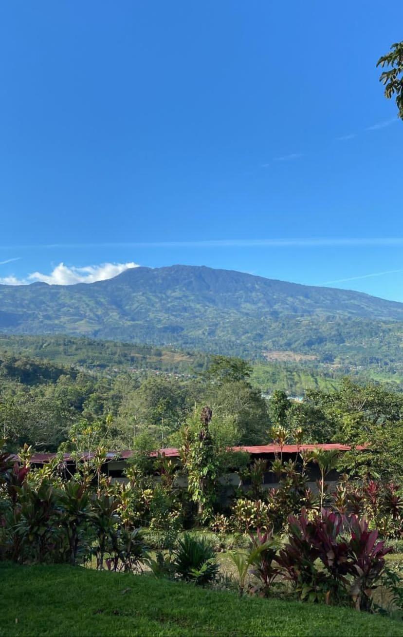 Hotel Green Mountain Turrialba Extérieur photo